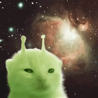 /왹